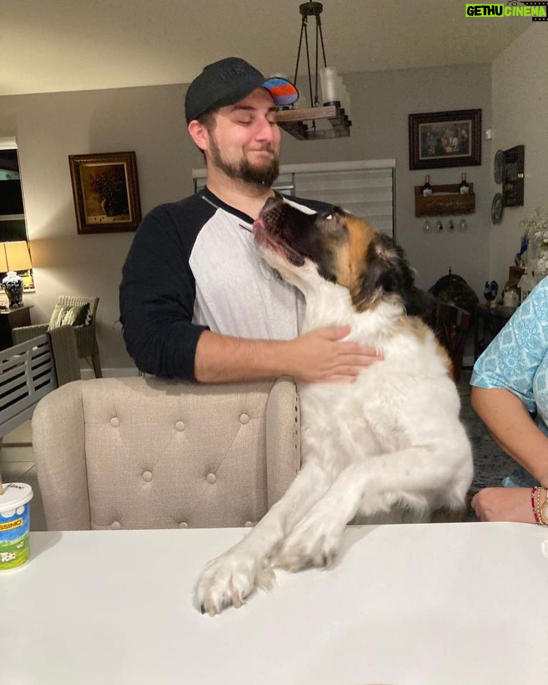 Alejandro Saab Instagram - I Met my aunts dog yesterday. Her name Nova 🥹