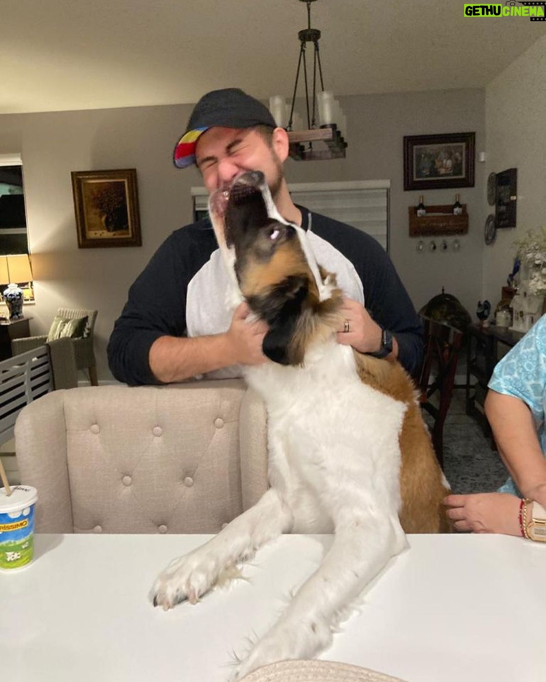 Alejandro Saab Instagram - I Met my aunts dog yesterday. Her name Nova 🥹