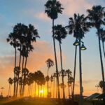 Alex Bullon Instagram - A day in Venice 🌊🌞🌴🇺🇸🚘🍧🍓 #venicebeach #venice #LA #losangeles #california Venice Beach, California