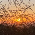 Alex Bullon Instagram - #chasingsunsets #LA 🇺🇸🌄🌼 Fryman Canyon Hiking Trail