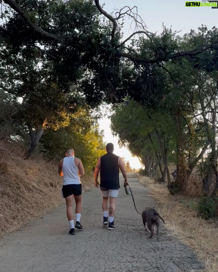 Alex Bullon Instagram - #chasingsunsets #LA πΊπΈππΌ Fryman Canyon Hiking Trail