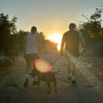 Alex Bullon Instagram - #chasingsunsets #LA 🇺🇸🌄🌼 Fryman Canyon Hiking Trail
