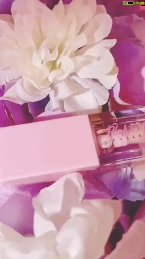Alex Gracia Instagram - Sheer Pink Lip Oil by @pinkdreamcollection 🌸 •Non-Sticky •Contains Vitamin E •Birds of Paradise Scent Video created by @capturedbyweinchez