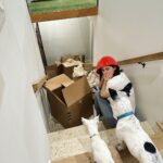 Alexandra Daddario Instagram - Moving day