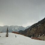 Alexandra Daddario Instagram - 🏔️