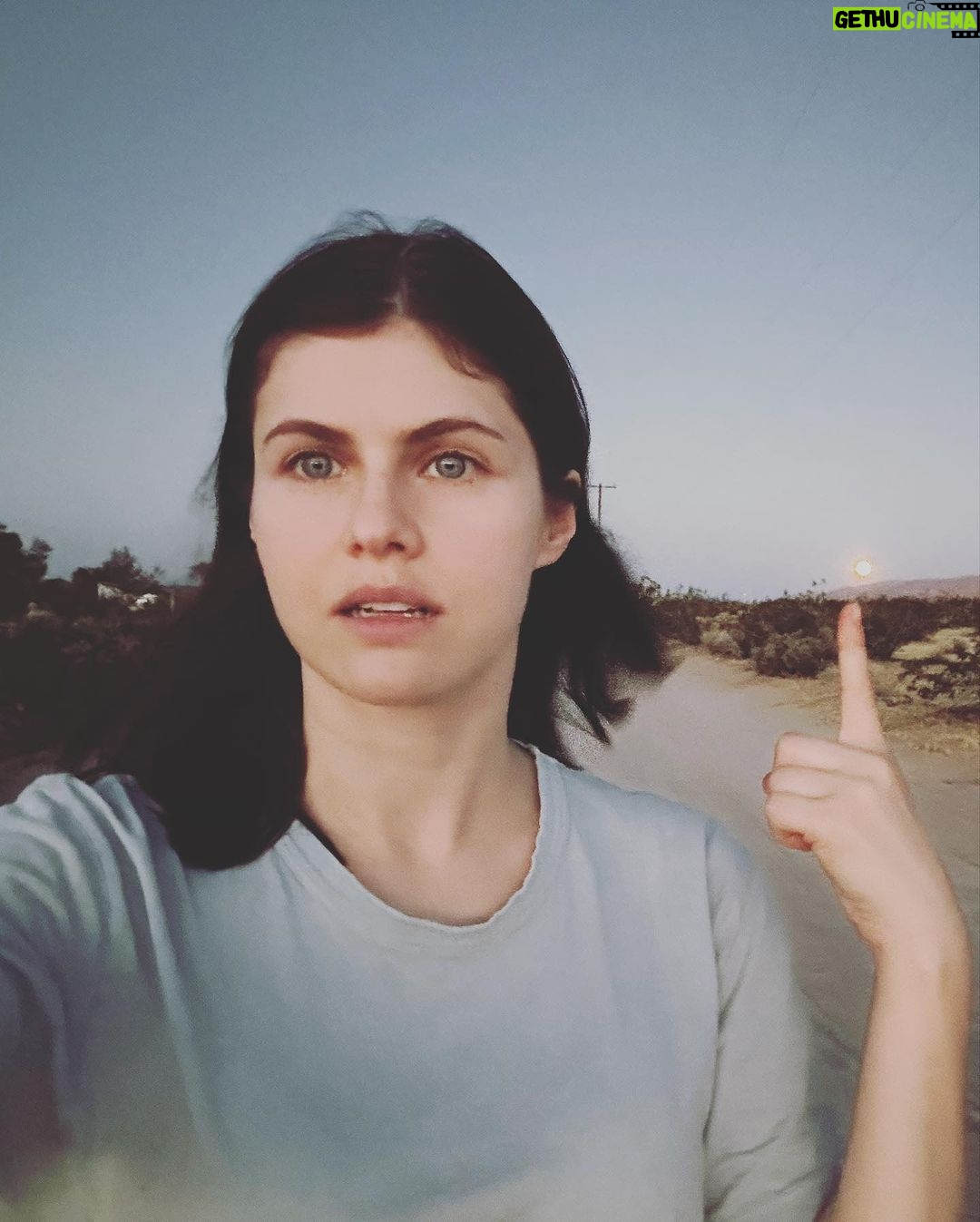 Alexandra Daddario Instagram - Go look at the moon!