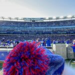 Alexandra Daddario Instagram – Go @nygiants!!!
