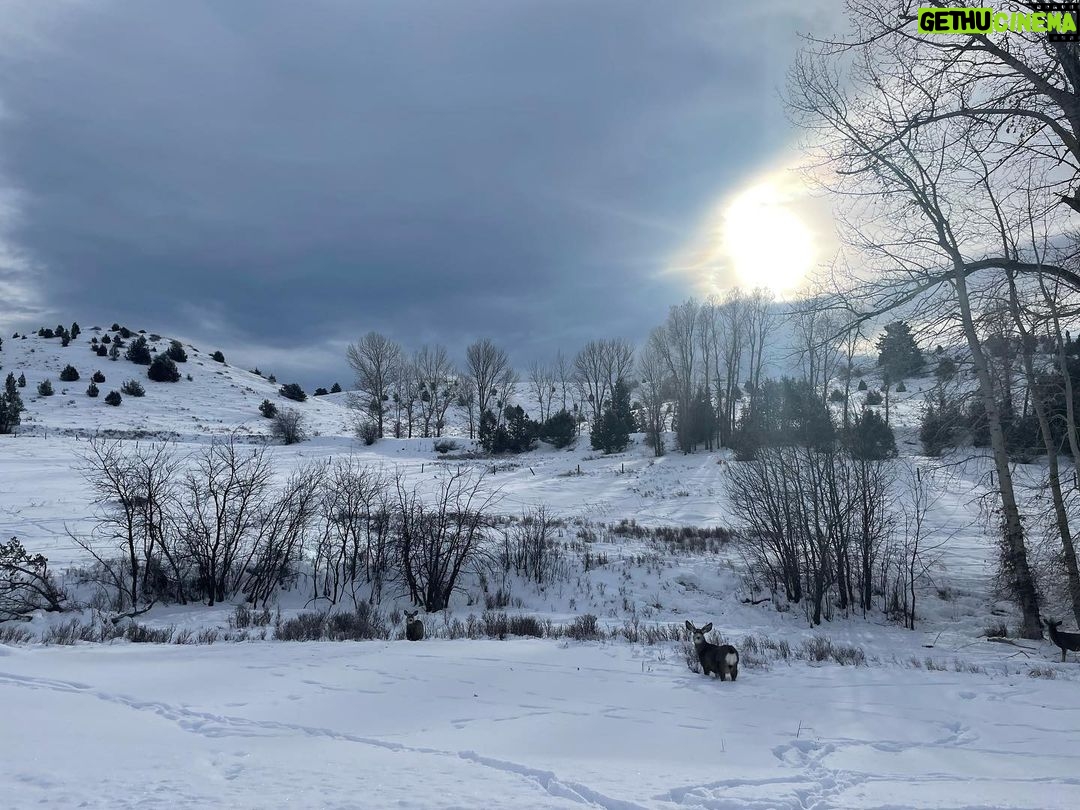 Alexandra Daddario Instagram - ❄️ Montage Big Sky