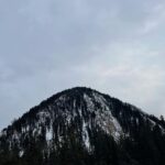 Alexandra Daddario Instagram - ❄️ Montage Big Sky