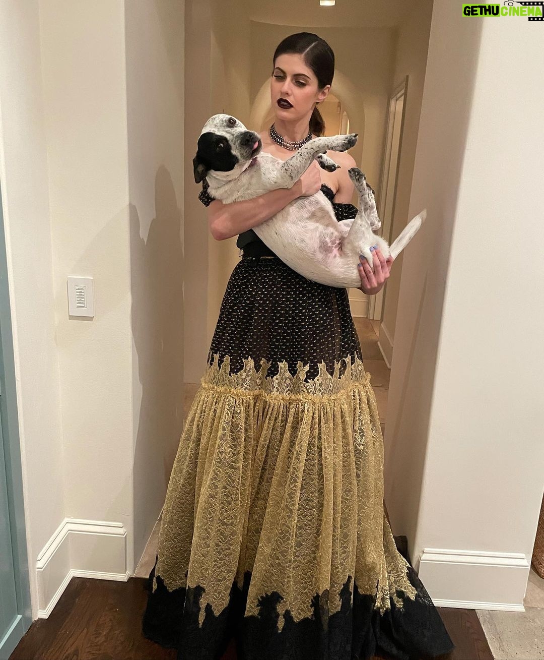 Alexandra Daddario Instagram - Premiere 💫 I can’t wait for y’all to see the show on January 8th!