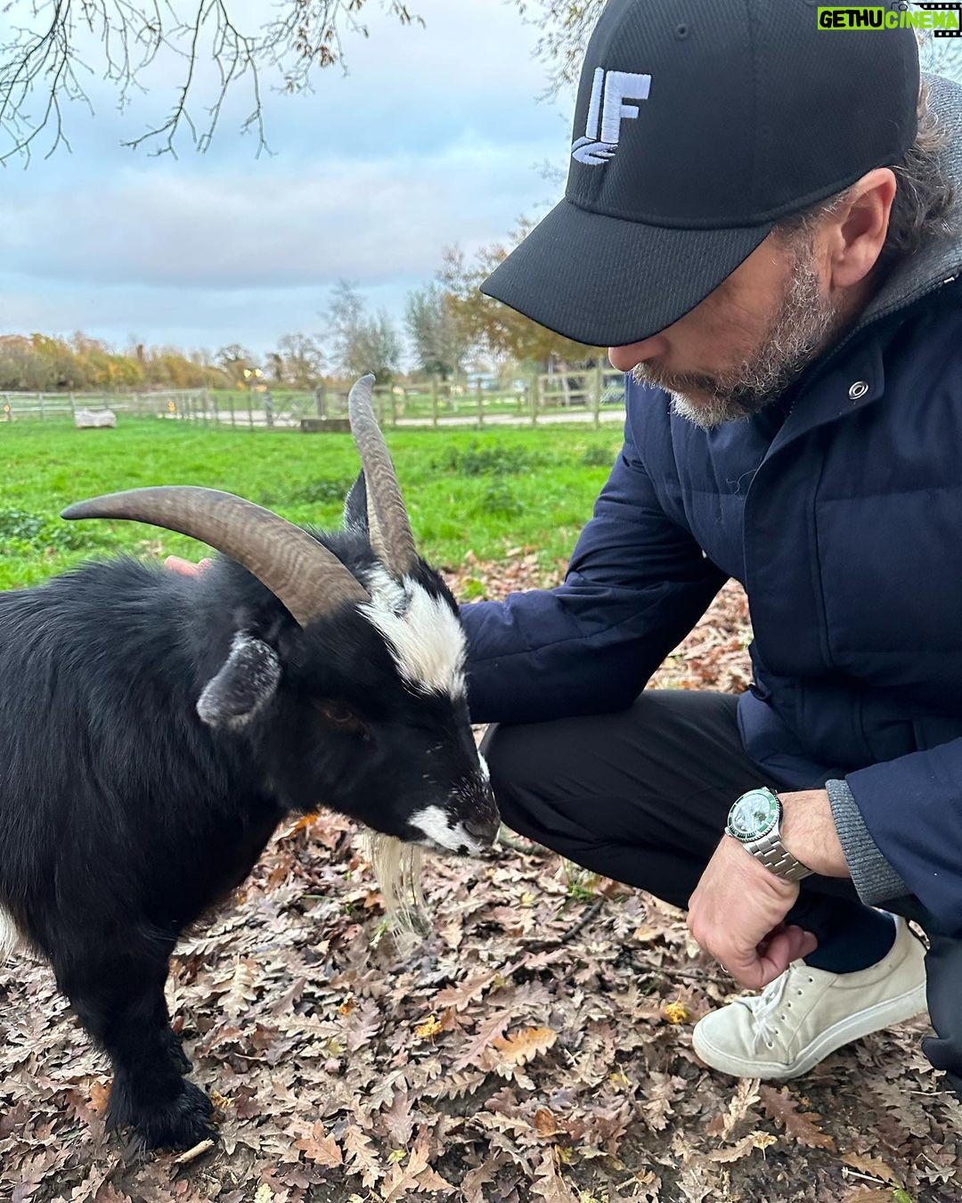 Alexandra Daddario Instagram - 🐴 🐐 🐕