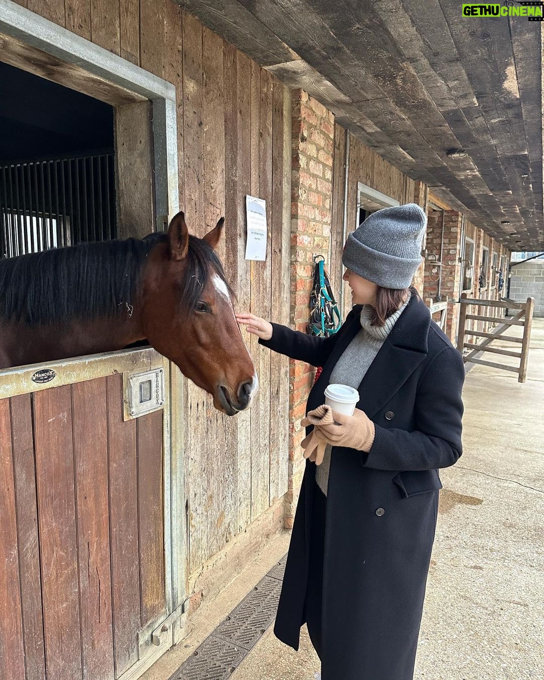 Alexandra Daddario Instagram - 🐴 🐐 🐕