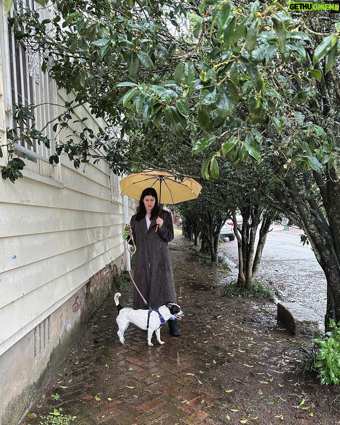 Alexandra Daddario Instagram - Between the thunder and Mardi Gras, Eunice is not happy
