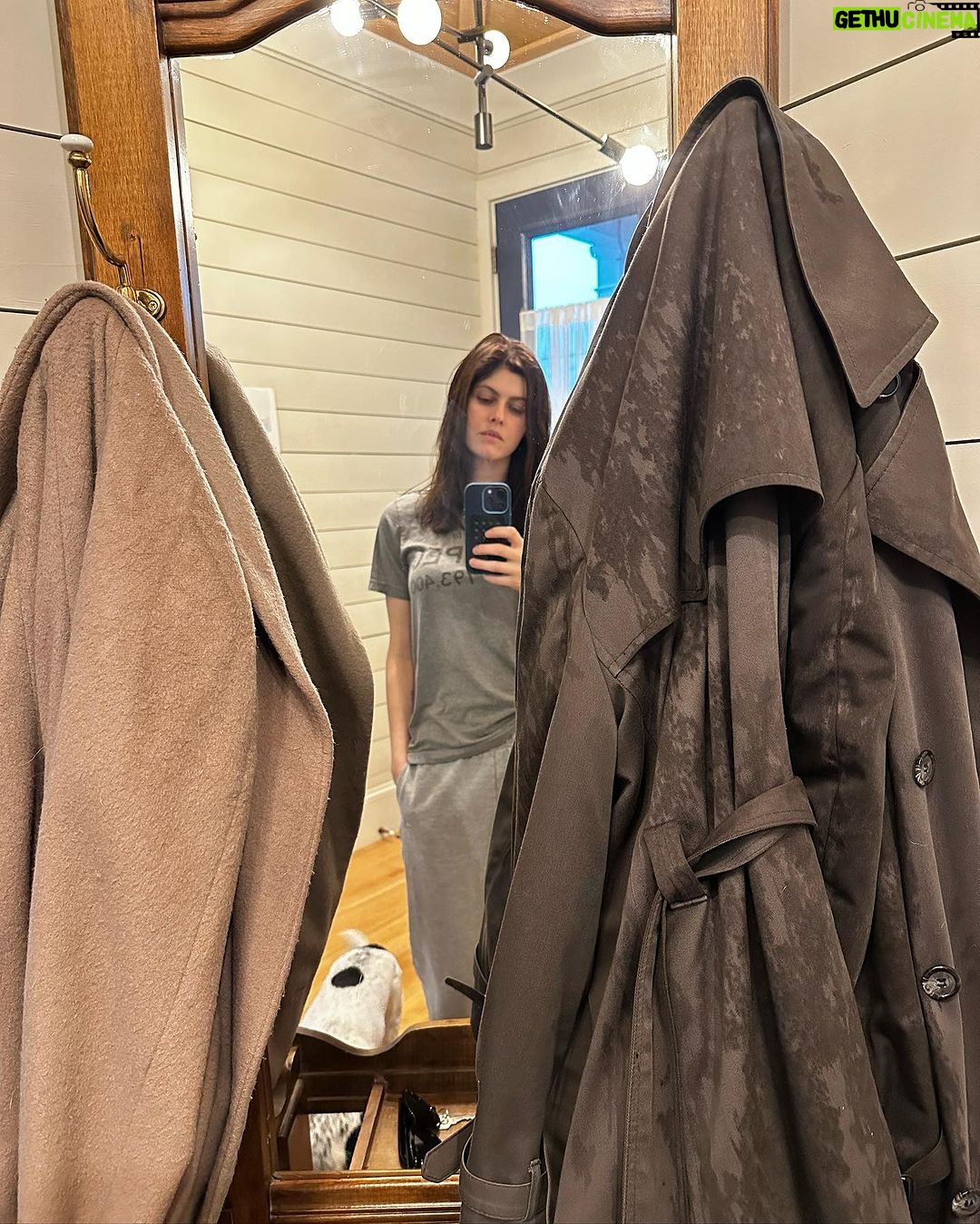 Alexandra Daddario Instagram - Between the thunder and Mardi Gras, Eunice is not happy