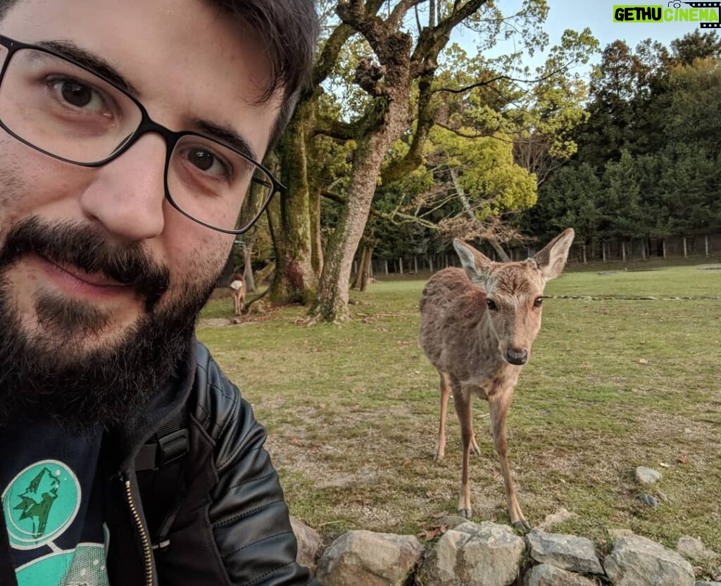 Alexelcapo Instagram - With the ciervos 奈良公園 -Nara Park