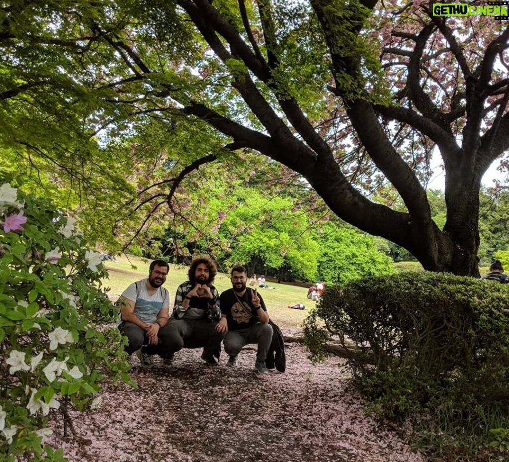Alexelcapo Instagram - One piece episodio 657 Shinjuku Gyoen National Garden 新宿御苑