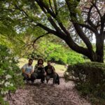 Alexelcapo Instagram - One piece episodio 657 Shinjuku Gyoen National Garden 新宿御苑