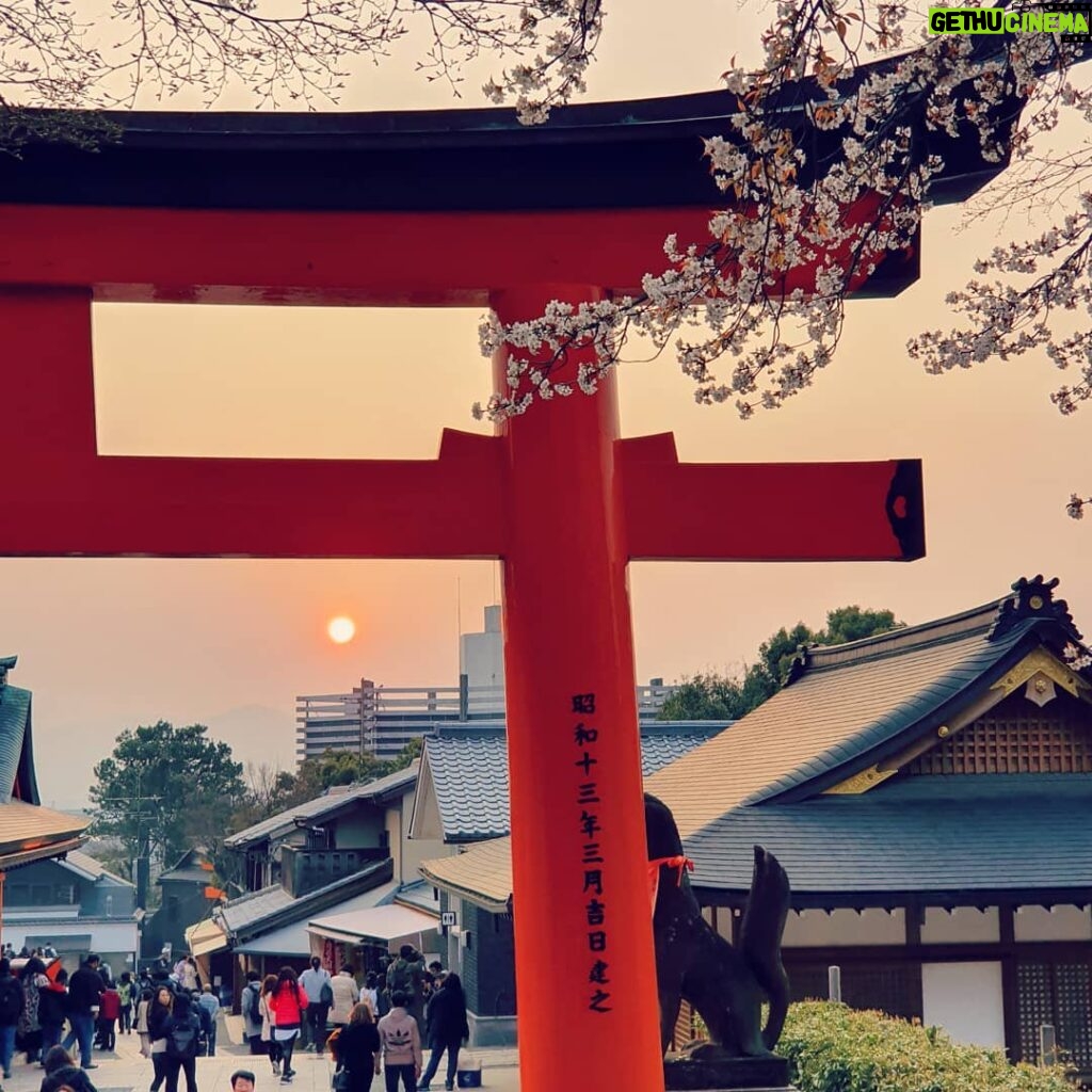 Alexelcapo Instagram - Fushimi Inari-taisha