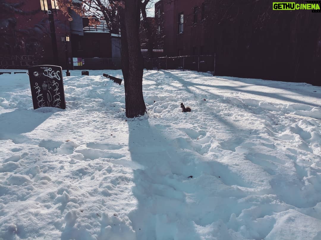 Alexelcapo Instagram - Estamos a -17 putos grados y me quiero morir. Montreal, Quebec