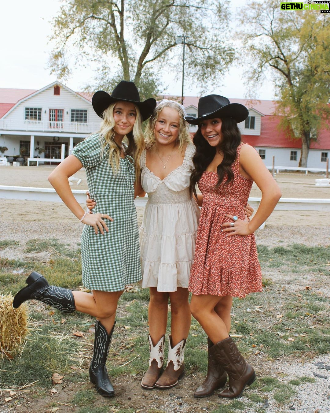 Alexus Oladi Instagram - Harvest 🤠Saltaire Farm Equestrian Center
