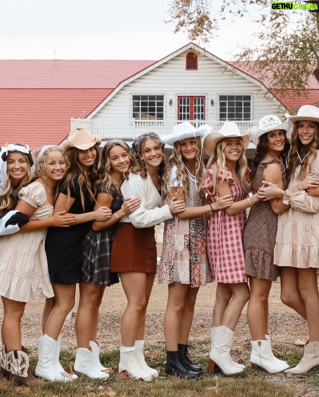 Alexus Oladi Instagram - Harvest 🤠Saltaire Farm Equestrian Center