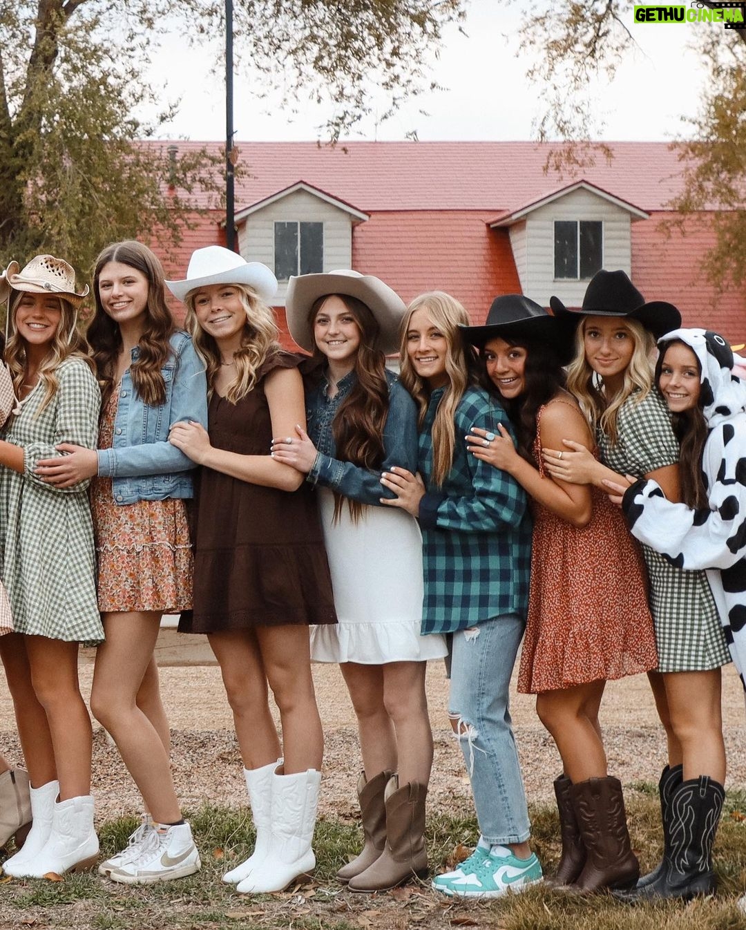 Alexus Oladi Instagram - Harvest 🤠Saltaire Farm Equestrian Center