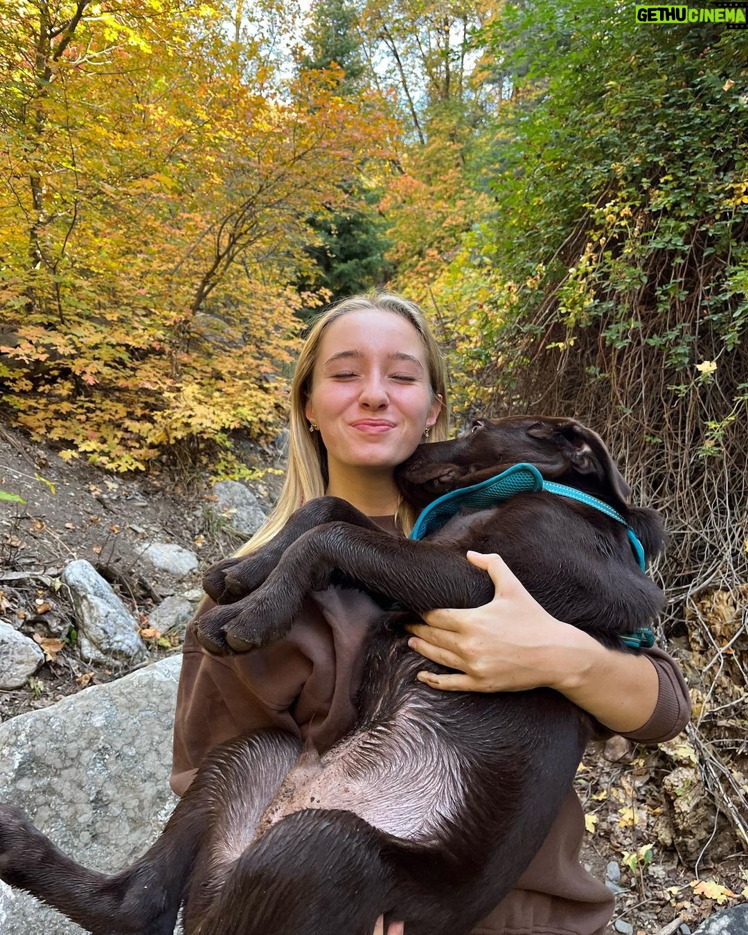 Alexus Oladi Instagram - Hank is so precious 🤠Utah