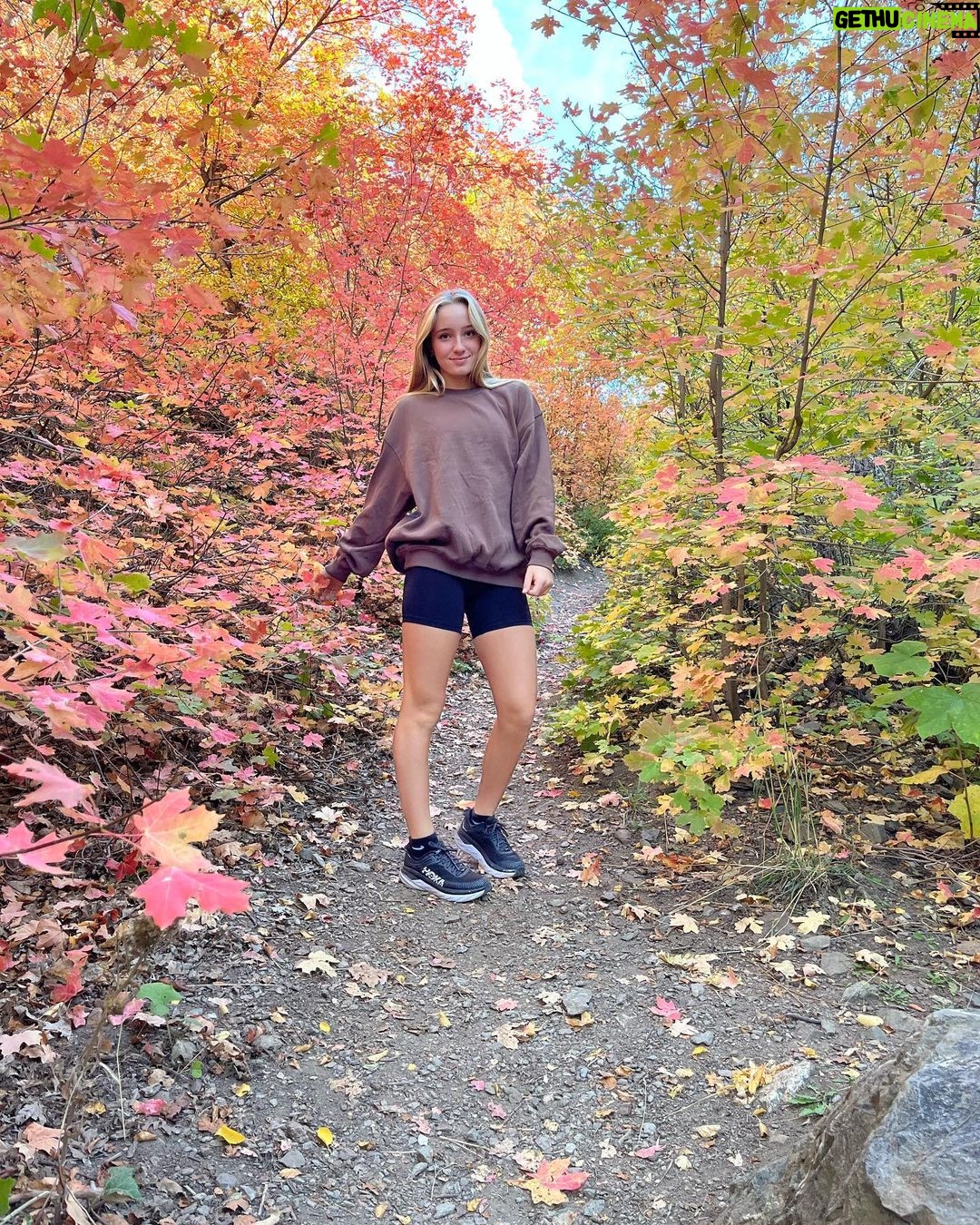 Alexus Oladi Instagram - Hank is so precious 🤠Utah