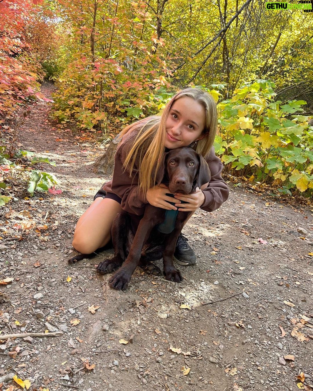 Alexus Oladi Instagram - Hank is so precious 🤠Utah