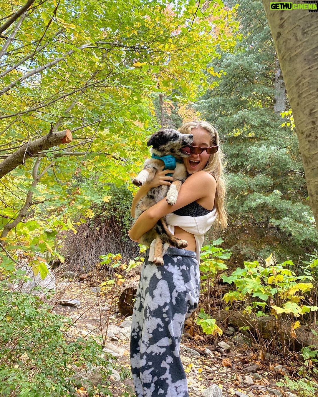 Alexus Oladi Instagram - yearly fall hike 🙃