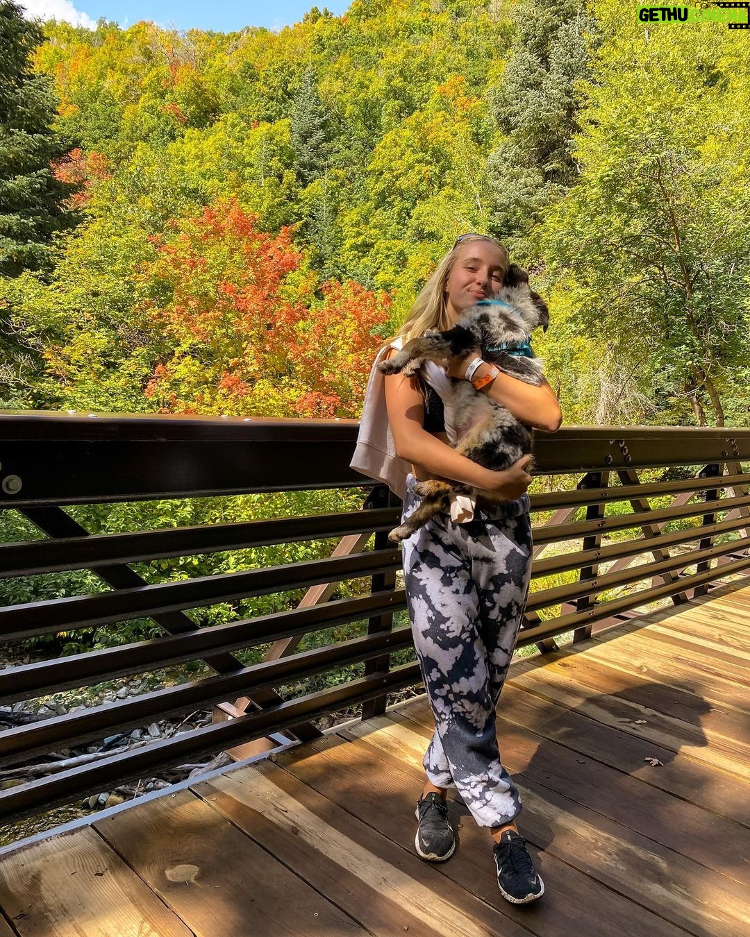 Alexus Oladi Instagram - yearly fall hike 🙃