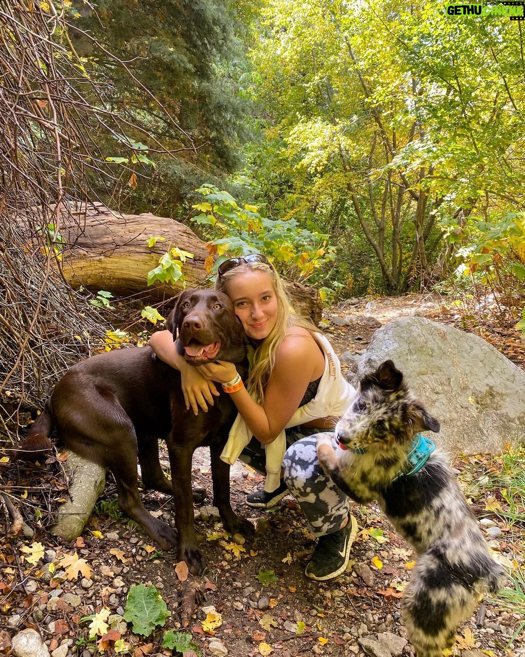 Alexus Oladi Instagram - yearly fall hike 🙃