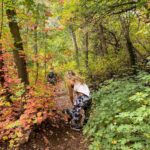 Alexus Oladi Instagram - yearly fall hike 🙃