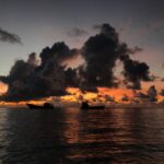 Alican YÃ¼cesoy Instagram -
