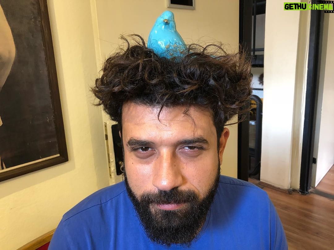 Alican Yücesoy Instagram - Sonunda o yuvaya bir kuş kondu. @dogacan_taspinar
