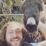 Alican YÃ¼cesoy Instagram - #badem