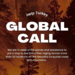 Alican YÃ¼cesoy Instagram - 🚨I am calling all the countries who can help us. We are perished and devastated with the total 112 fires. The ones that we can’t stop are still going so strong. We dont have enough fire fighting planes to stop it. We lost 8 people, so many animals and our forests. #helpturkey