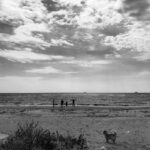 Alican YÃ¼cesoy Instagram -