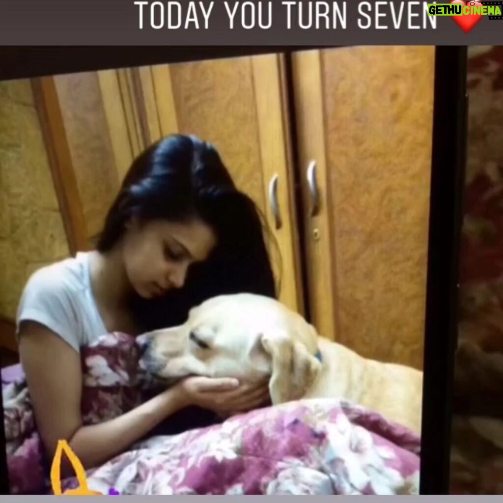 Alice Kaushik Instagram - Rest in peace sweet angel . Wherever you are, I will always be with you in a way that transcends physical form. Thank you for coming into my life 12 years ago and teaching me how to truly love and be loved. You are and will forever be my goodest girl. My first child. My first love. knowing how you had been fighting your condition these past few months was hard, seeing you in your last days was harder but letting you go yesterday broke something inside. There is a hole in my heart and I don't know what to do with it. Nothing can come close to the feeling of your child being taken away from you. Nothing. You stopped breathing in my arms and it was so painful , I will never be the same and never be complete with my first child gone. A child I grew up with. Nothing and nobody will ever come close to what you were and are to me. Such an elevated soul. I have never in my life seen a doggo as thoughtful as wise and and kind as you. I don't think I will ever stop grieving the loss of you. I will patiently wait to be reunited with you. Rest my little girl. 💕 The one who taught me animal love in real sense. My fish, My cow, My chick forever. I love you always and forever. I love you the most. Heaven awaits you. 🌈 🐕 👧 One last time : You are my sunshine, my only sunshine You make me happy when skies are gray You'll never know dear How much I love you Please don't take My Sunshine away.