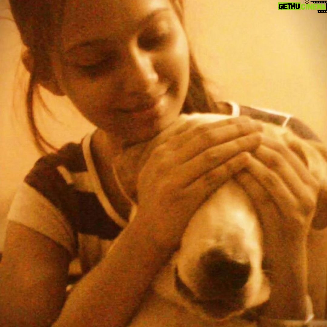 Alice Kaushik Instagram - Rest in peace sweet angel . Wherever you are, I will always be with you in a way that transcends physical form. Thank you for coming into my life 12 years ago and teaching me how to truly love and be loved. You are and will forever be my goodest girl. My first child. My first love. knowing how you had been fighting your condition these past few months was hard, seeing you in your last days was harder but letting you go yesterday broke something inside. There is a hole in my heart and I don't know what to do with it. Nothing can come close to the feeling of your child being taken away from you. Nothing. You stopped breathing in my arms and it was so painful , I will never be the same and never be complete with my first child gone. A child I grew up with. Nothing and nobody will ever come close to what you were and are to me. Such an elevated soul. I have never in my life seen a doggo as thoughtful as wise and and kind as you. I don't think I will ever stop grieving the loss of you. I will patiently wait to be reunited with you. Rest my little girl. 💕 The one who taught me animal love in real sense. My fish, My cow, My chick forever. I love you always and forever. I love you the most. Heaven awaits you. 🌈 🐕 👧 One last time : You are my sunshine, my only sunshine You make me happy when skies are gray You'll never know dear How much I love you Please don't take My Sunshine away.