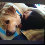 Alice Kaushik Instagram - Rest in peace sweet angel . Wherever you are, I will always be with you in a way that transcends physical form. Thank you for coming into my life 12 years ago and teaching me how to truly love and be loved. You are and will forever be my goodest girl. My first child. My first love. knowing how you had been fighting your condition these past few months was hard, seeing you in your last days was harder but letting you go yesterday broke something inside. There is a hole in my heart and I don't know what to do with it. Nothing can come close to the feeling of your child being taken away from you. Nothing. You stopped breathing in my arms and it was so painful , I will never be the same and never be complete with my first child gone. A child I grew up with. Nothing and nobody will ever come close to what you were and are to me. Such an elevated soul. I have never in my life seen a doggo as thoughtful as wise and and kind as you. I don't think I will ever stop grieving the loss of you. I will patiently wait to be reunited with you. Rest my little girl. 💕 The one who taught me animal love in real sense. My fish, My cow, My chick forever. I love you always and forever. I love you the most. Heaven awaits you. 🌈 🐕 👧 One last time : You are my sunshine, my only sunshine You make me happy when skies are gray You'll never know dear How much I love you Please don't take My Sunshine away.