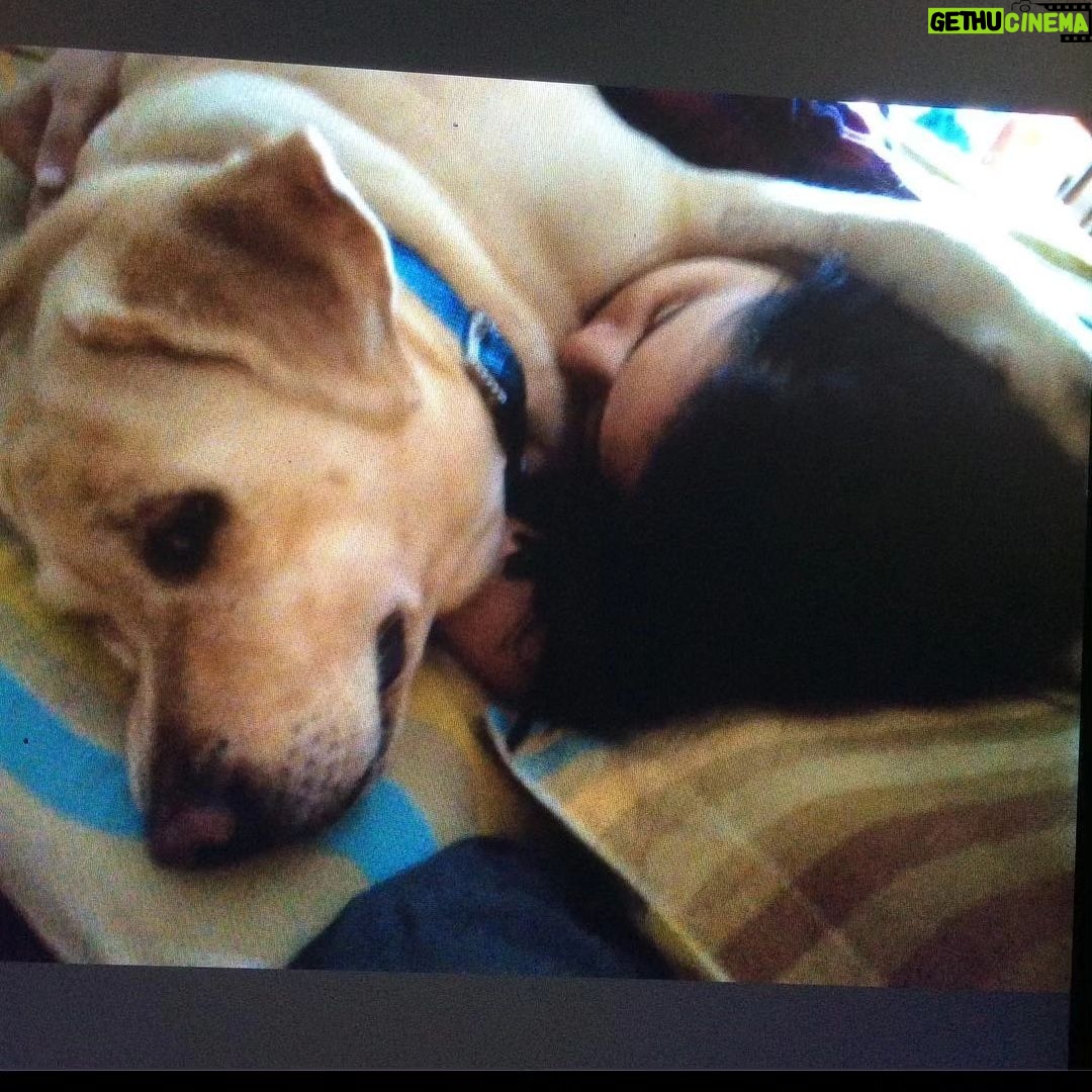 Alice Kaushik Instagram - Rest in peace sweet angel . Wherever you are, I will always be with you in a way that transcends physical form. Thank you for coming into my life 12 years ago and teaching me how to truly love and be loved. You are and will forever be my goodest girl. My first child. My first love. knowing how you had been fighting your condition these past few months was hard, seeing you in your last days was harder but letting you go yesterday broke something inside. There is a hole in my heart and I don't know what to do with it. Nothing can come close to the feeling of your child being taken away from you. Nothing. You stopped breathing in my arms and it was so painful , I will never be the same and never be complete with my first child gone. A child I grew up with. Nothing and nobody will ever come close to what you were and are to me. Such an elevated soul. I have never in my life seen a doggo as thoughtful as wise and and kind as you. I don't think I will ever stop grieving the loss of you. I will patiently wait to be reunited with you. Rest my little girl. 💕 The one who taught me animal love in real sense. My fish, My cow, My chick forever. I love you always and forever. I love you the most. Heaven awaits you. 🌈 🐕 👧 One last time : You are my sunshine, my only sunshine You make me happy when skies are gray You'll never know dear How much I love you Please don't take My Sunshine away.