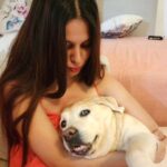 Alice Kaushik Instagram - Rest in peace sweet angel . Wherever you are, I will always be with you in a way that transcends physical form. Thank you for coming into my life 12 years ago and teaching me how to truly love and be loved. You are and will forever be my goodest girl. My first child. My first love. knowing how you had been fighting your condition these past few months was hard, seeing you in your last days was harder but letting you go yesterday broke something inside. There is a hole in my heart and I don't know what to do with it. Nothing can come close to the feeling of your child being taken away from you. Nothing. You stopped breathing in my arms and it was so painful , I will never be the same and never be complete with my first child gone. A child I grew up with. Nothing and nobody will ever come close to what you were and are to me. Such an elevated soul. I have never in my life seen a doggo as thoughtful as wise and and kind as you. I don't think I will ever stop grieving the loss of you. I will patiently wait to be reunited with you. Rest my little girl. 💕 The one who taught me animal love in real sense. My fish, My cow, My chick forever. I love you always and forever. I love you the most. Heaven awaits you. 🌈 🐕 👧 One last time : You are my sunshine, my only sunshine You make me happy when skies are gray You'll never know dear How much I love you Please don't take My Sunshine away.
