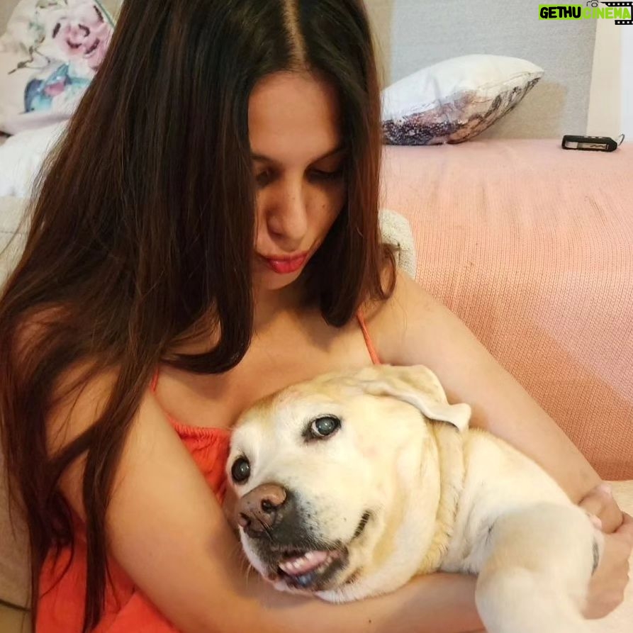 Alice Kaushik Instagram - Rest in peace sweet angel . Wherever you are, I will always be with you in a way that transcends physical form. Thank you for coming into my life 12 years ago and teaching me how to truly love and be loved. You are and will forever be my goodest girl. My first child. My first love. knowing how you had been fighting your condition these past few months was hard, seeing you in your last days was harder but letting you go yesterday broke something inside. There is a hole in my heart and I don't know what to do with it. Nothing can come close to the feeling of your child being taken away from you. Nothing. You stopped breathing in my arms and it was so painful , I will never be the same and never be complete with my first child gone. A child I grew up with. Nothing and nobody will ever come close to what you were and are to me. Such an elevated soul. I have never in my life seen a doggo as thoughtful as wise and and kind as you. I don't think I will ever stop grieving the loss of you. I will patiently wait to be reunited with you. Rest my little girl. 💕 The one who taught me animal love in real sense. My fish, My cow, My chick forever. I love you always and forever. I love you the most. Heaven awaits you. 🌈 🐕 👧 One last time : You are my sunshine, my only sunshine You make me happy when skies are gray You'll never know dear How much I love you Please don't take My Sunshine away.