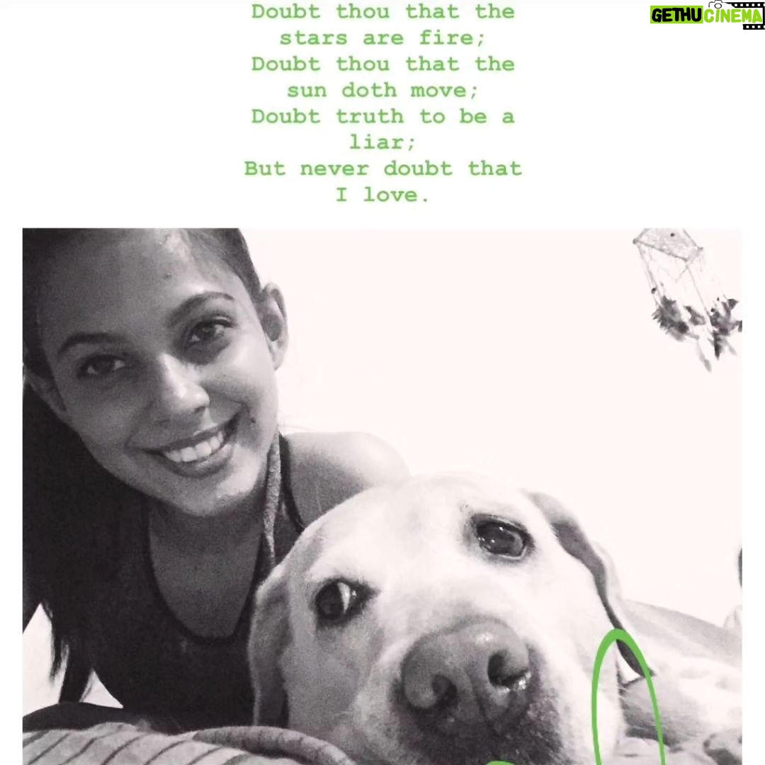 Alice Kaushik Instagram - Rest in peace sweet angel . Wherever you are, I will always be with you in a way that transcends physical form. Thank you for coming into my life 12 years ago and teaching me how to truly love and be loved. You are and will forever be my goodest girl. My first child. My first love. knowing how you had been fighting your condition these past few months was hard, seeing you in your last days was harder but letting you go yesterday broke something inside. There is a hole in my heart and I don't know what to do with it. Nothing can come close to the feeling of your child being taken away from you. Nothing. You stopped breathing in my arms and it was so painful , I will never be the same and never be complete with my first child gone. A child I grew up with. Nothing and nobody will ever come close to what you were and are to me. Such an elevated soul. I have never in my life seen a doggo as thoughtful as wise and and kind as you. I don't think I will ever stop grieving the loss of you. I will patiently wait to be reunited with you. Rest my little girl. 💕 The one who taught me animal love in real sense. My fish, My cow, My chick forever. I love you always and forever. I love you the most. Heaven awaits you. 🌈 🐕 👧 One last time : You are my sunshine, my only sunshine You make me happy when skies are gray You'll never know dear How much I love you Please don't take My Sunshine away.