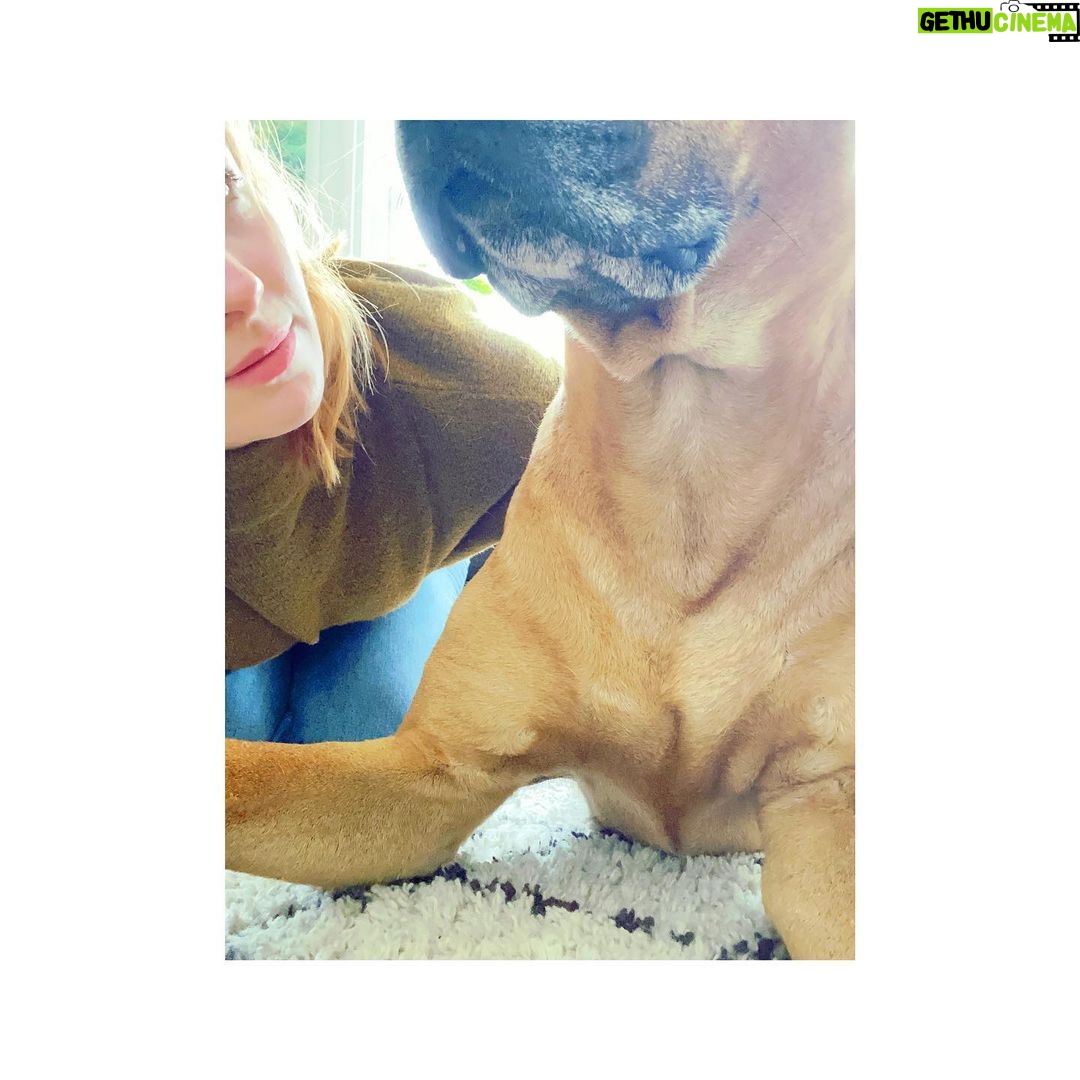 Alice Levine Instagram - Hanging with Pete, really mood improving (for me, possibly the opposite for Pete who Iām sure was just happy to sit in the sun uninterrupted) š