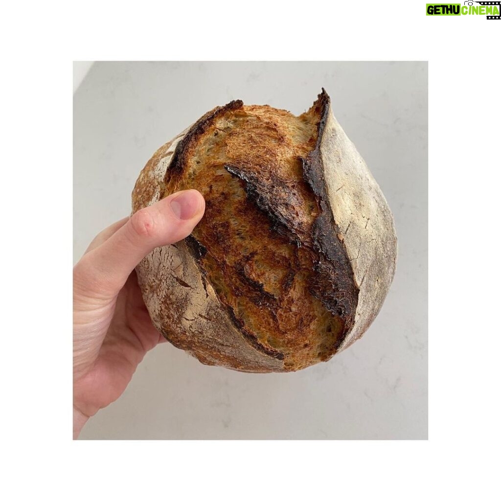 Alice Levine Instagram - Isolation cliché #216343. Please don’t look at my first ever sourdough, I’m shy. Yes the starter is an obscene responsibility, yes it has many steps, yes flour is harder to find than any other edible substance. But it sort of looks like one from a shop! I’m not crying, you’re crying...🥖🥖🍞🍞🥯🥯 For easy to follow step-by-step videos can’t recommend @theboywhobakes enough, @marthadelacey is the queen of sourdough and you can do her lessons / course online now (plus make sure you do her Trashcrumps©️) and @thedustyknuckle have great flour (and baked goods obvs) and they deliver! ✅ (also perspective debacle - it’s actually not the size of a crumb, just the angle)