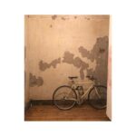 Alice Levine Instagram - UPDATE: We just found both our bikes on gumtree and mine is sold but one is still there. If you bought a cream bike today in Whitechapel please DM me! Will buy it from you and shower you in love and affection. Weird Marley & Me style montage to say goodbye and thanks to the best bike in the world. Can’t believe someone stole it, even though it was inside my building. @jameskennedycb you made me such a lovely one which I just remembered I bought for myself as a birthday present (maybe about 6 years ago?!). It’s done me proud. I needed it to get to work so anyone who knows of any nice bike companies (preferably East or Central so I can walk there...violins) who are still operating and selling bikes please let me know. 💓 🚲 🚲 🚲