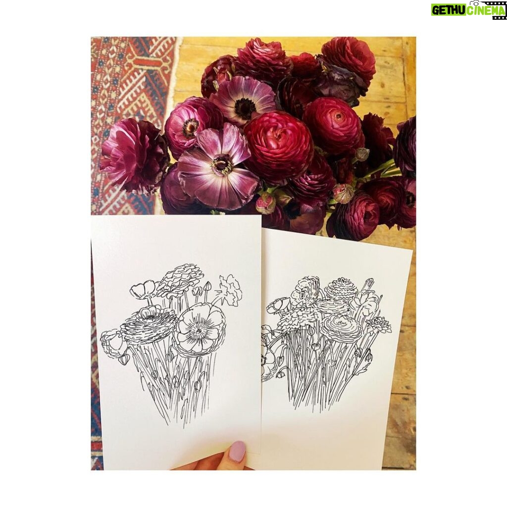 Alice Levine Instagram - Today on dying flower drawing club...