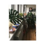 Alice Levine Instagram - UPDATE: We just found both our bikes on gumtree and mine is sold but one is still there. If you bought a cream bike today in Whitechapel please DM me! Will buy it from you and shower you in love and affection. Weird Marley & Me style montage to say goodbye and thanks to the best bike in the world. Can’t believe someone stole it, even though it was inside my building. @jameskennedycb you made me such a lovely one which I just remembered I bought for myself as a birthday present (maybe about 6 years ago?!). It’s done me proud. I needed it to get to work so anyone who knows of any nice bike companies (preferably East or Central so I can walk there...violins) who are still operating and selling bikes please let me know. 💓 🚲 🚲 🚲